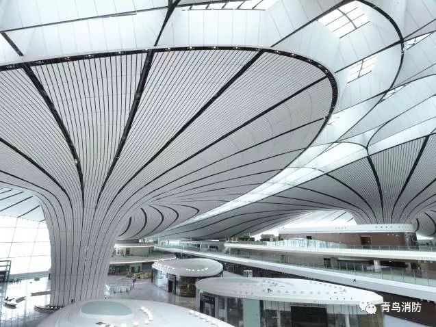 抖圈-为du而生官网入口